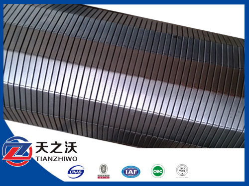 wedge wire screen water filter