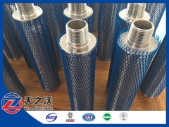 Stainless steel Npt end fitting filter